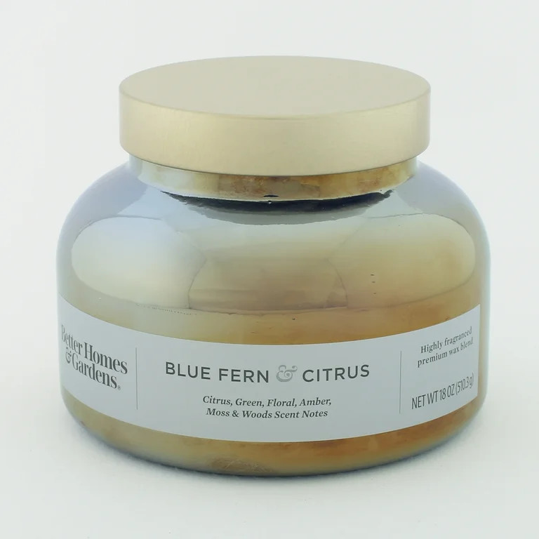 Better Homes & Gardens 18oz Blue Fern & Citrus Scented 2-Wick Iridescent Bell Jar Christmas Holid... | Walmart (US)