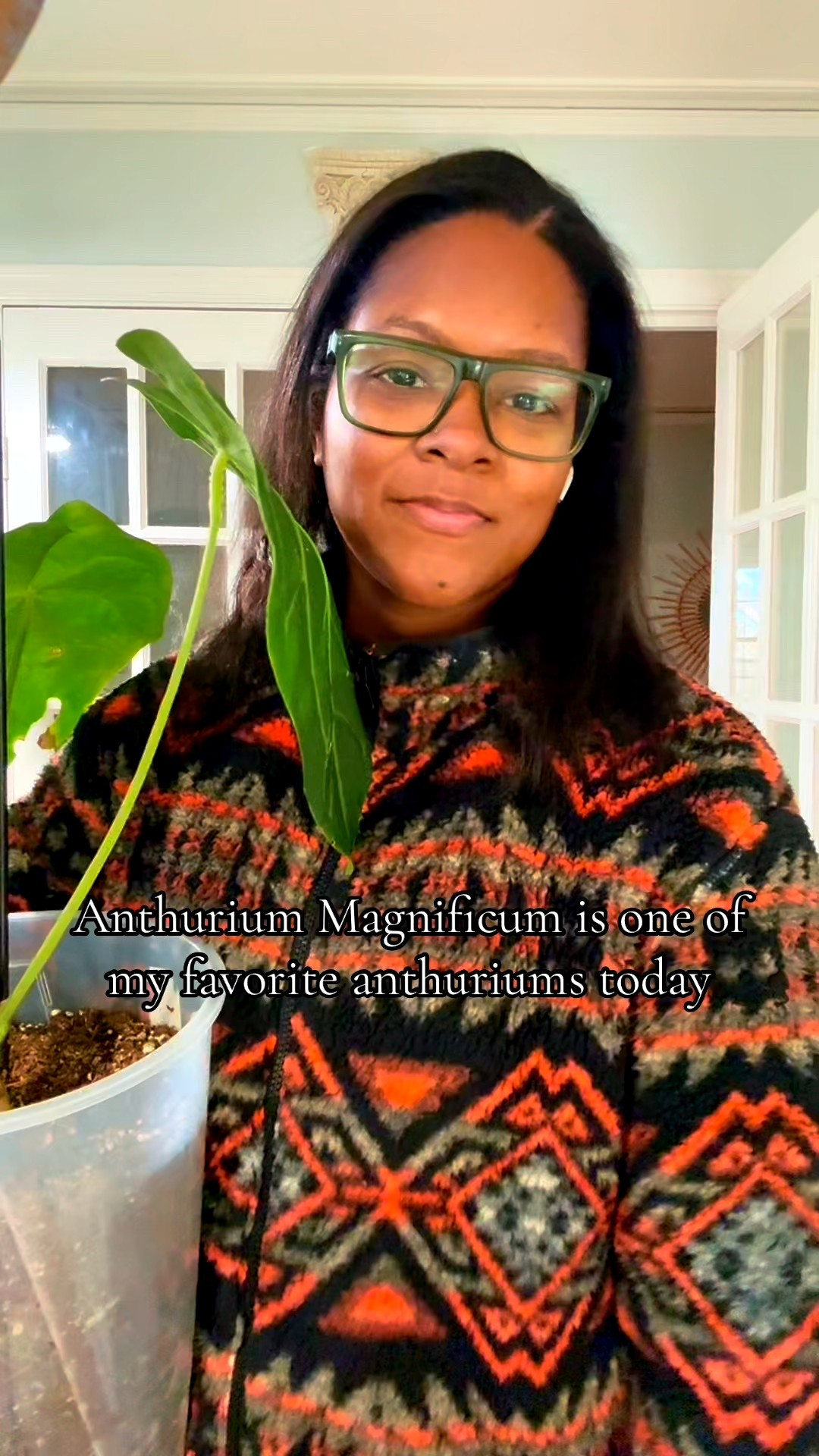 Cozy Jackets and gorgeous houseplants  

#LTKActive #LTKHome #LTKmorningroutine