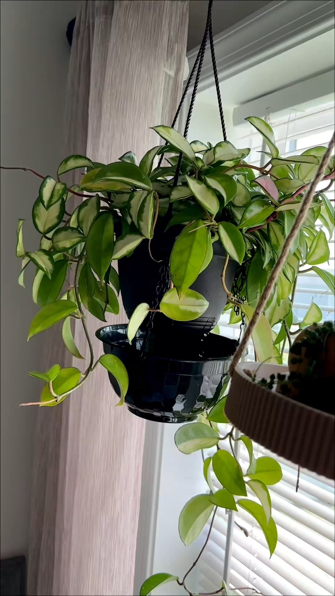 DIY hanging catch tray

#LTKstorytime #LTKHome