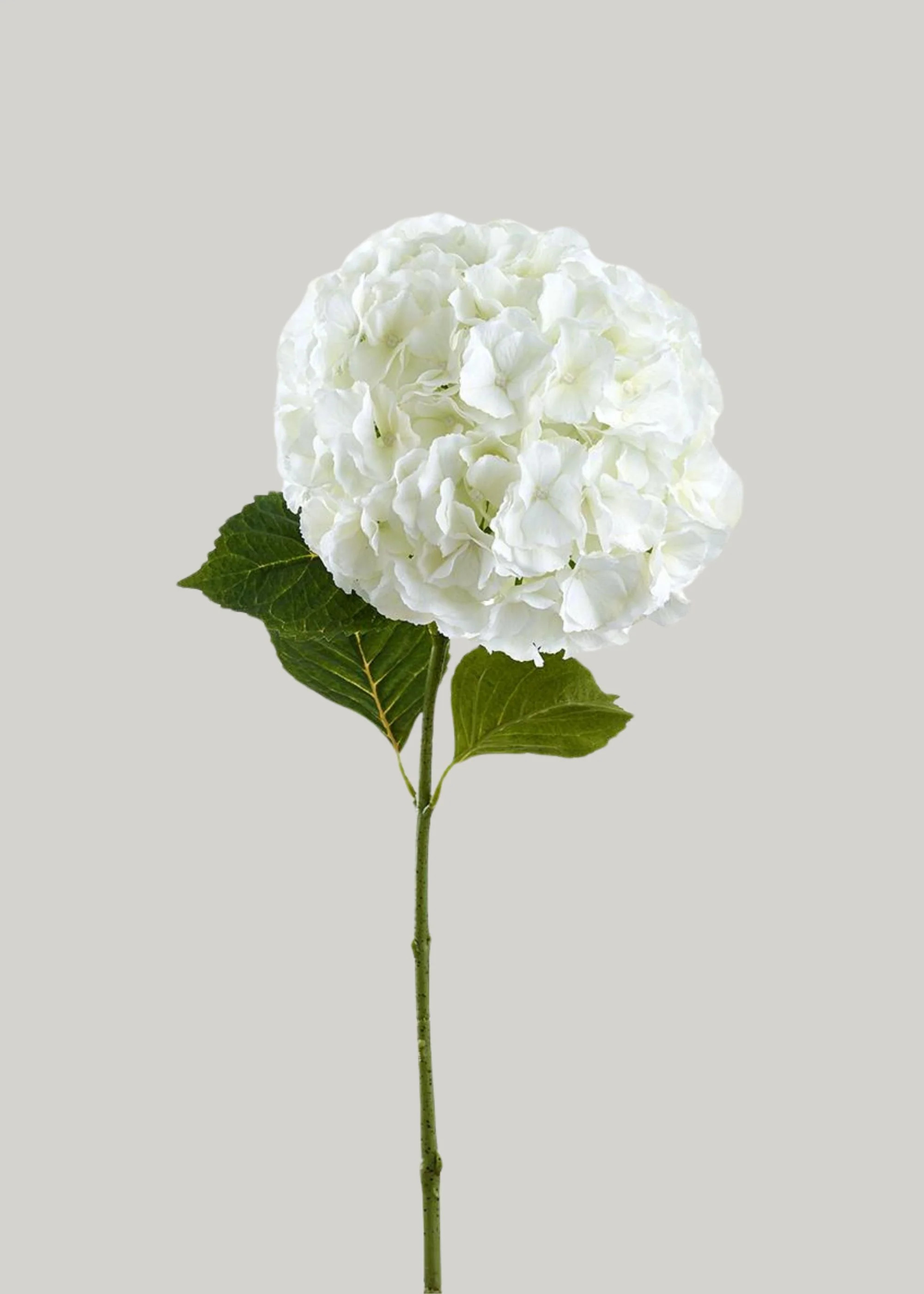 Hydrangea Stem in White | Nature-Inspired Artificial Flowers | Afloral | Afloral