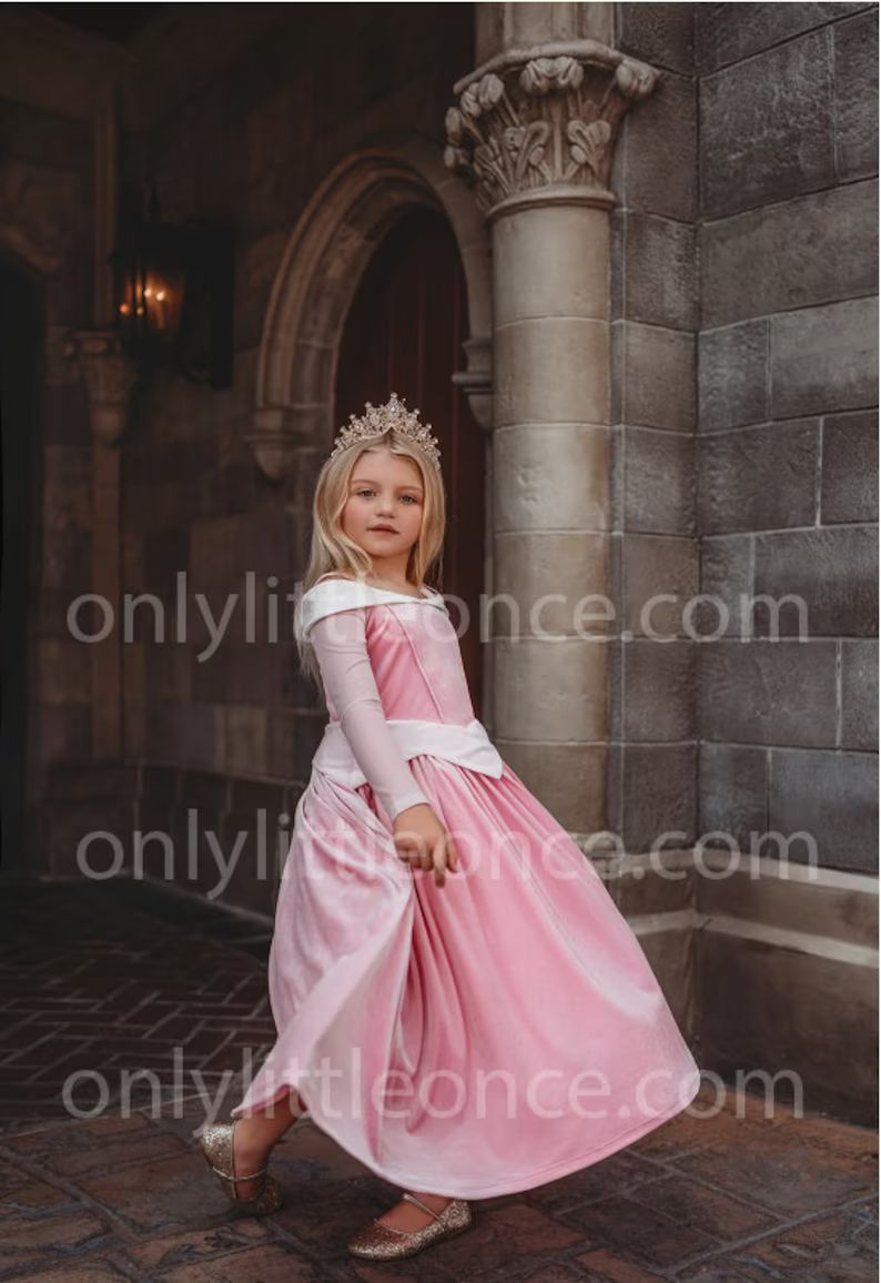 Couture Sleeping Beauty Costumedisney Princess Cosplaydisney - Etsy | Etsy (US)