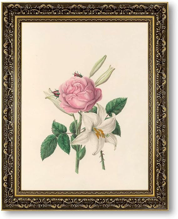 Vintage Framed Pink Rose and White Lily Botanical Illustration Canvas Print Oil Paintings Reproduction World Classics Wall Art Exquisite Floral Poster for Living Room Bedroom Apartment (Retro Framed,12"Lx16"W) | Amazon (US)