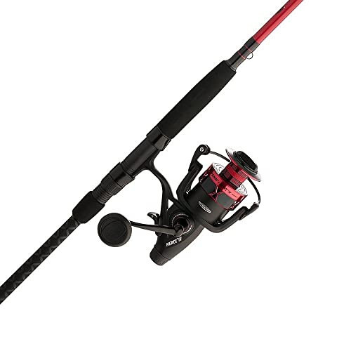 Penn Fierce IV Spinning Reel and Fishing Rod Combo | Amazon (US)