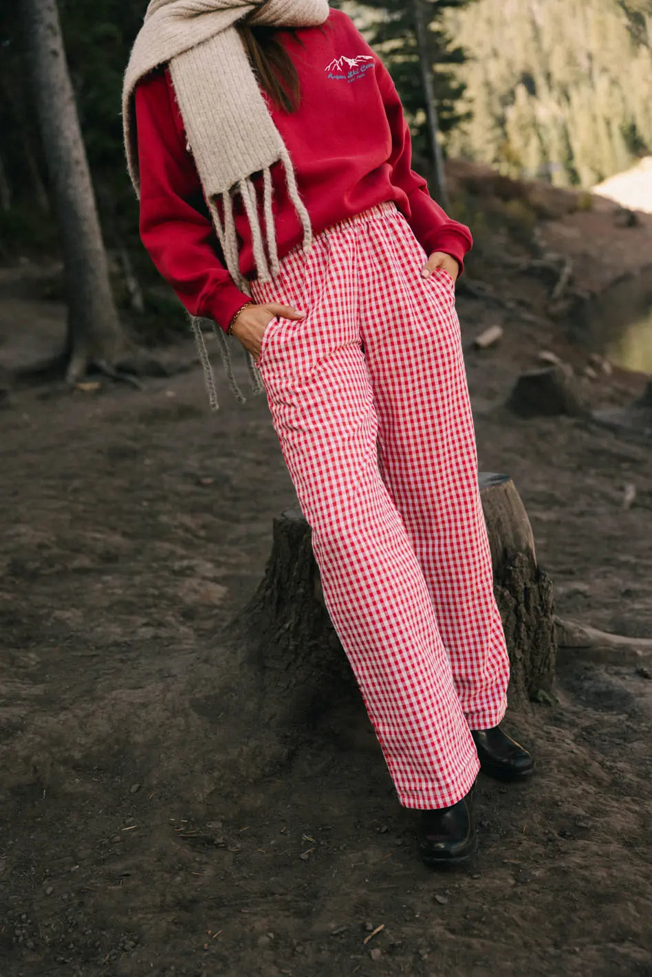 Romero Gingham Pants in Red | Böhme US