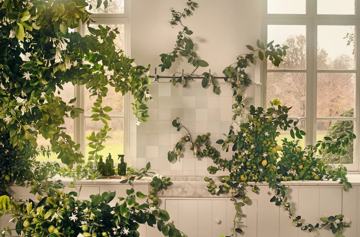 Homecort | Homecourt