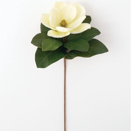 Sullivans Artificial Magnolia Stem 27""H Off-White Flowers | Walmart (US)