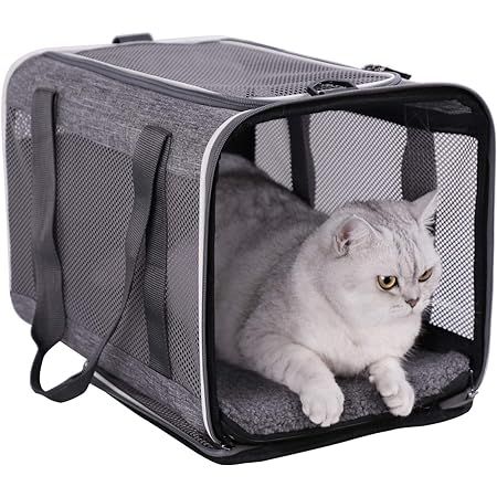 Akinerri Airline Approved Pet Carriers,Soft Sided Collapsible Pet Travel Carrier for Medium Puppy... | Amazon (US)