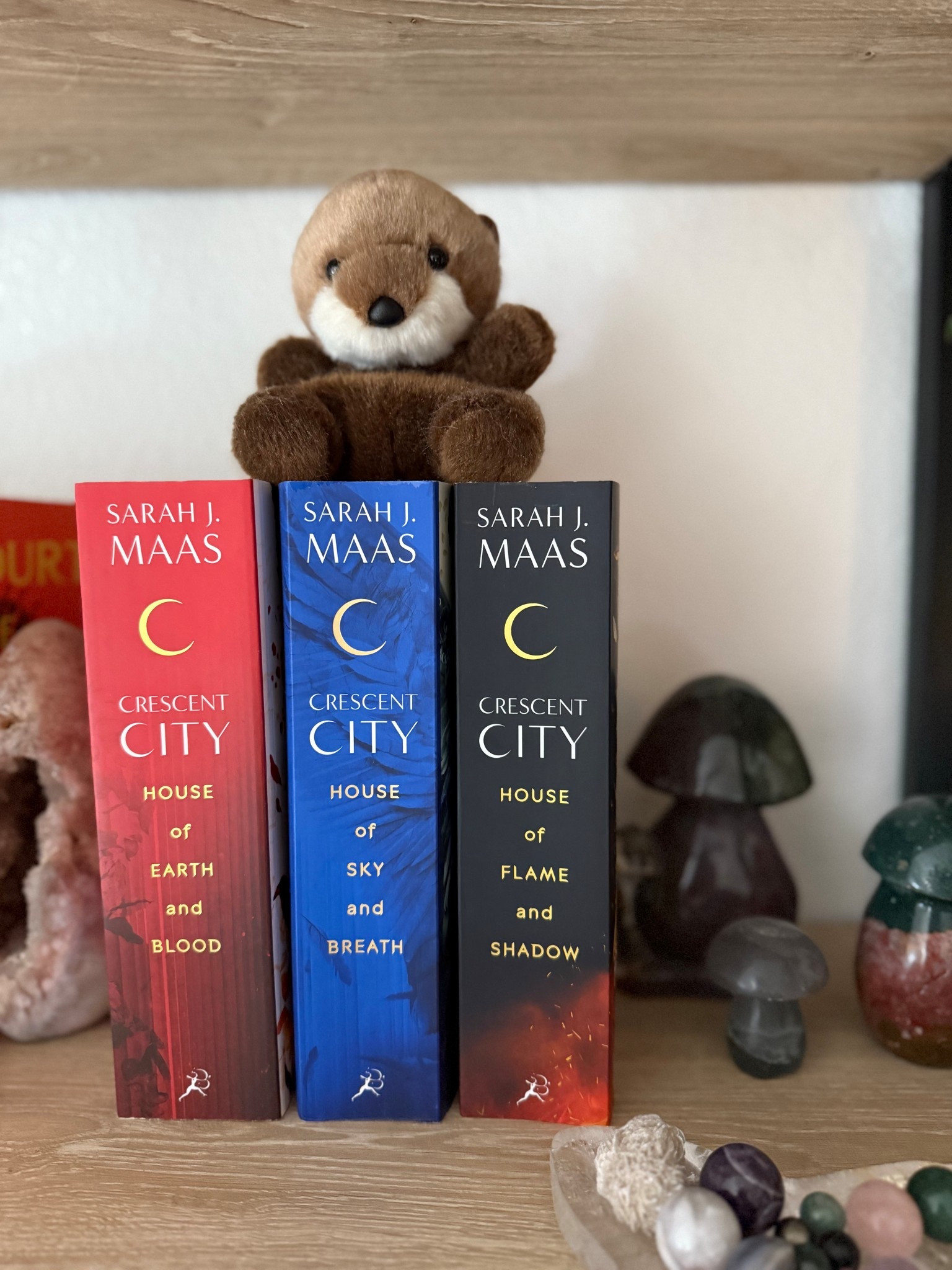 Crescent City by Sarah J Maas 

#LTKSeasonal #LTKFindsUnder100 #LTKFindsUnder50