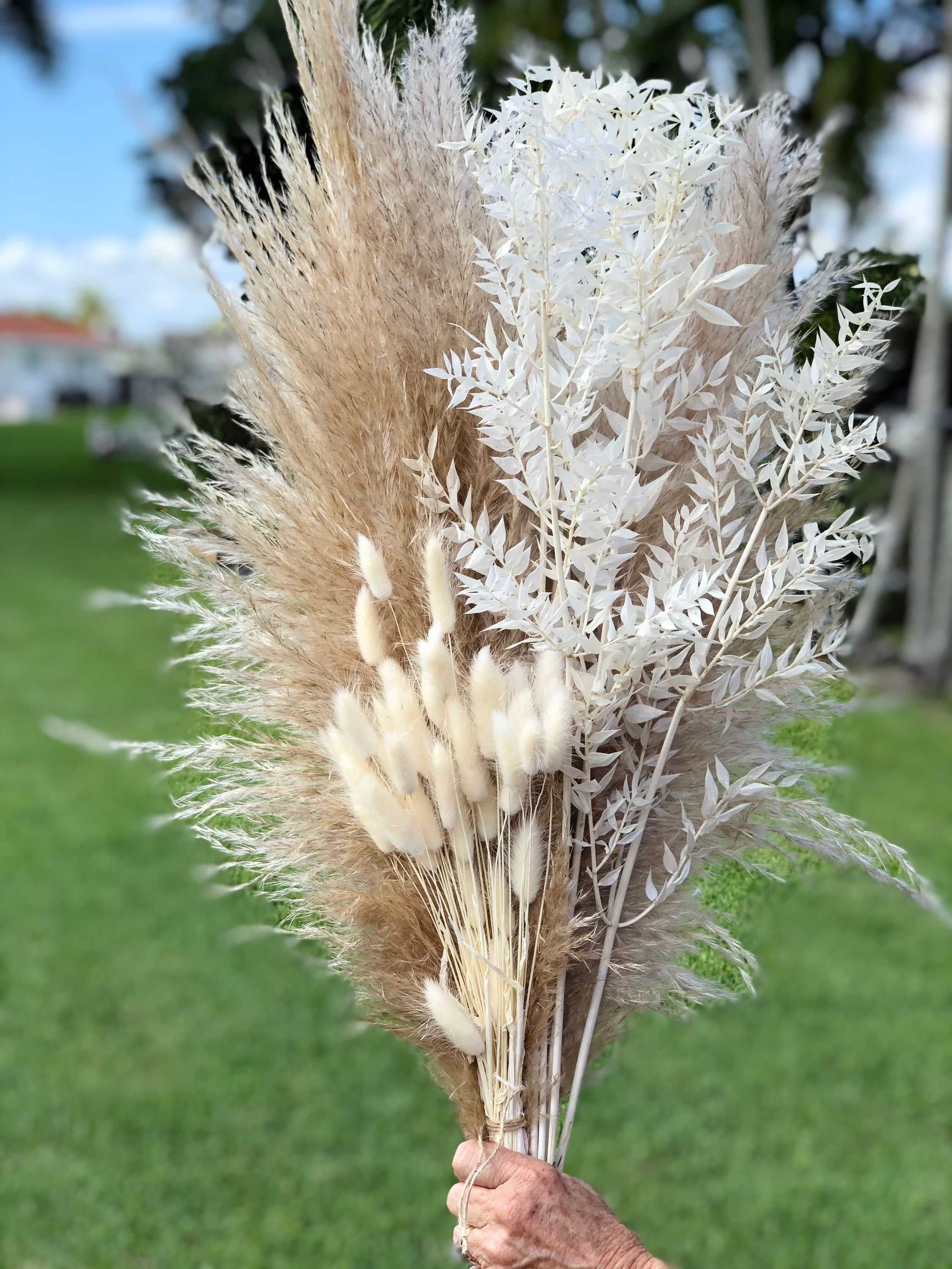 Pampas Grass, Bunny Tails & Italian White Ruscus Bundle | Home Decor | Pampas Grass Bouquet | Fal... | Etsy (US)
