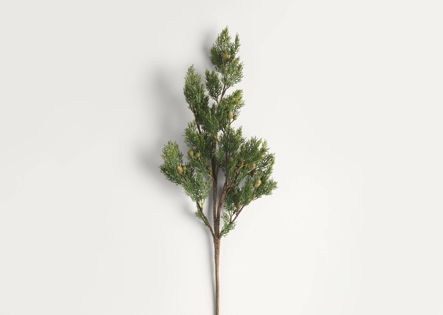 Alice Pine Branch | Urban Barn