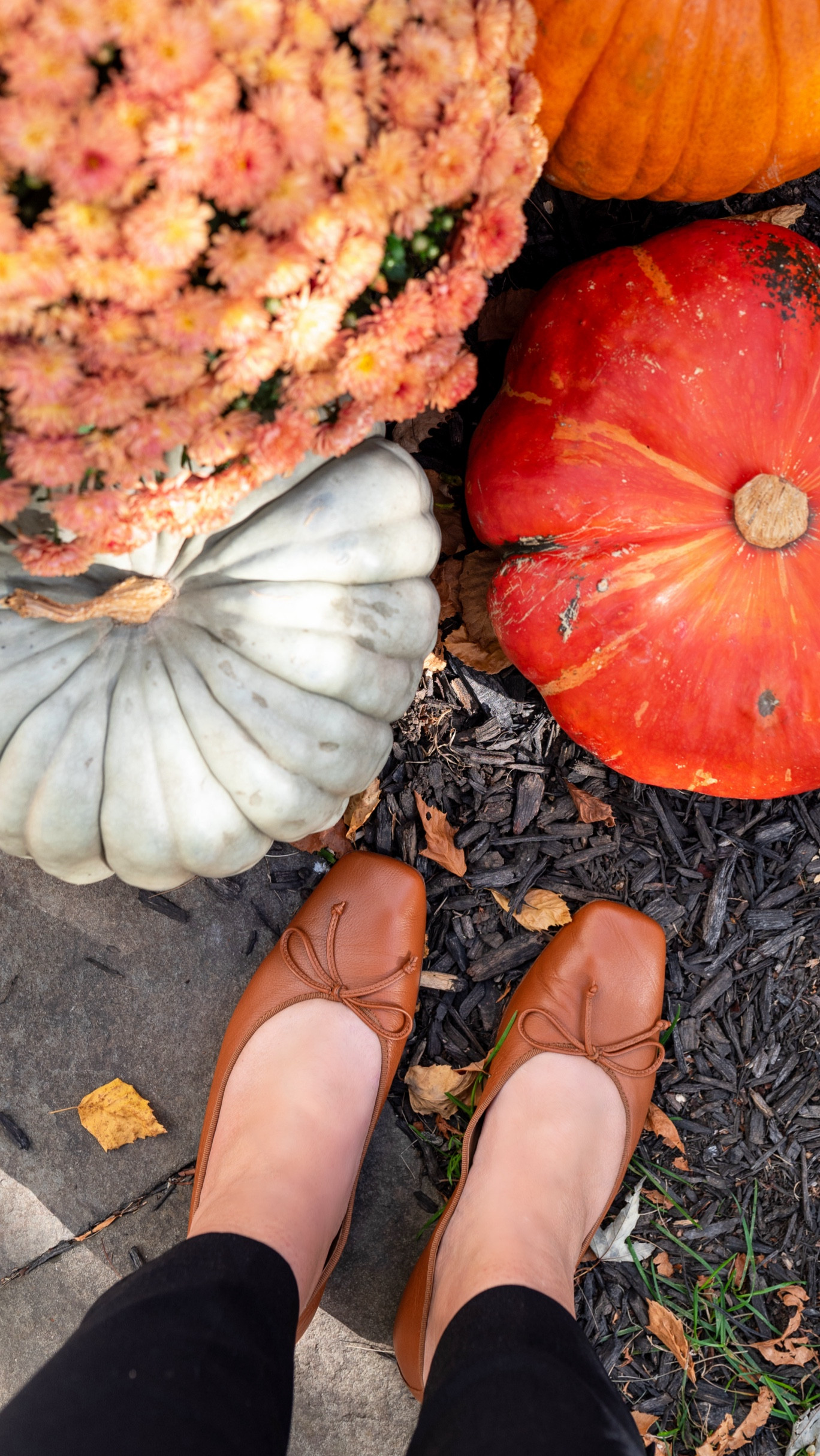 These leather flats are beautiful and incredibly comfy! 

#LTKWorkwear #LTKShoeCrush #LTKOver40
