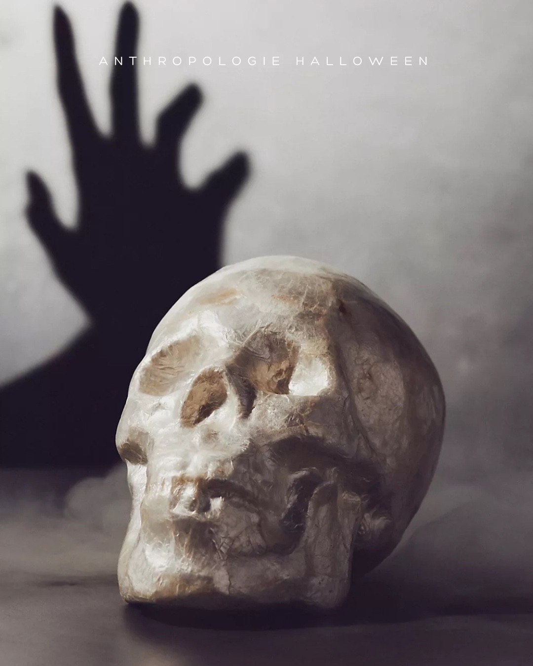 Anthropologie Halloween, LTK Halloween 

#LTKFindsUnder100 #LTKHome #LTKSeasonal