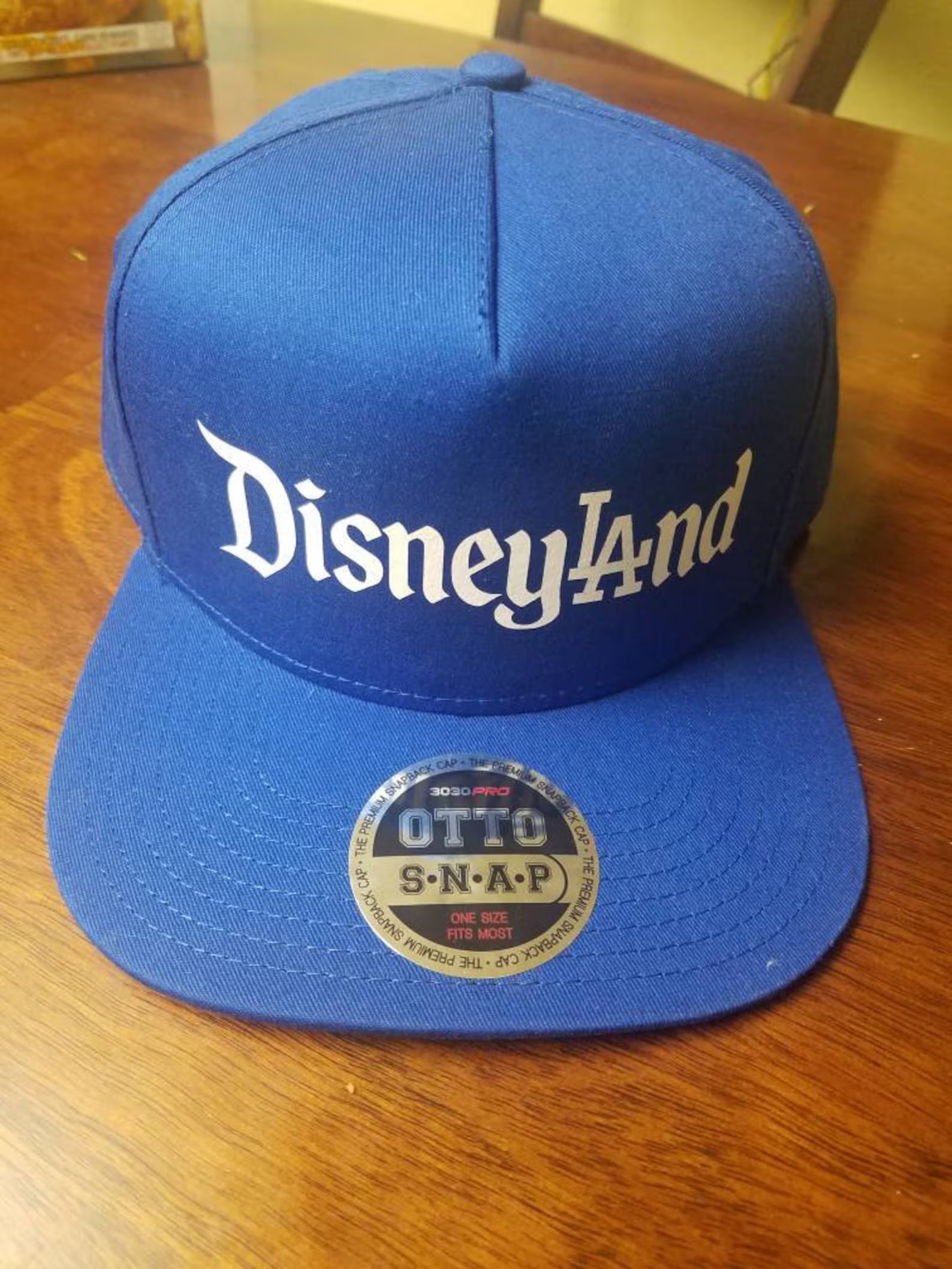 Disneyland / LA Dodgers Mashup Hat (snapback) | Etsy (US)