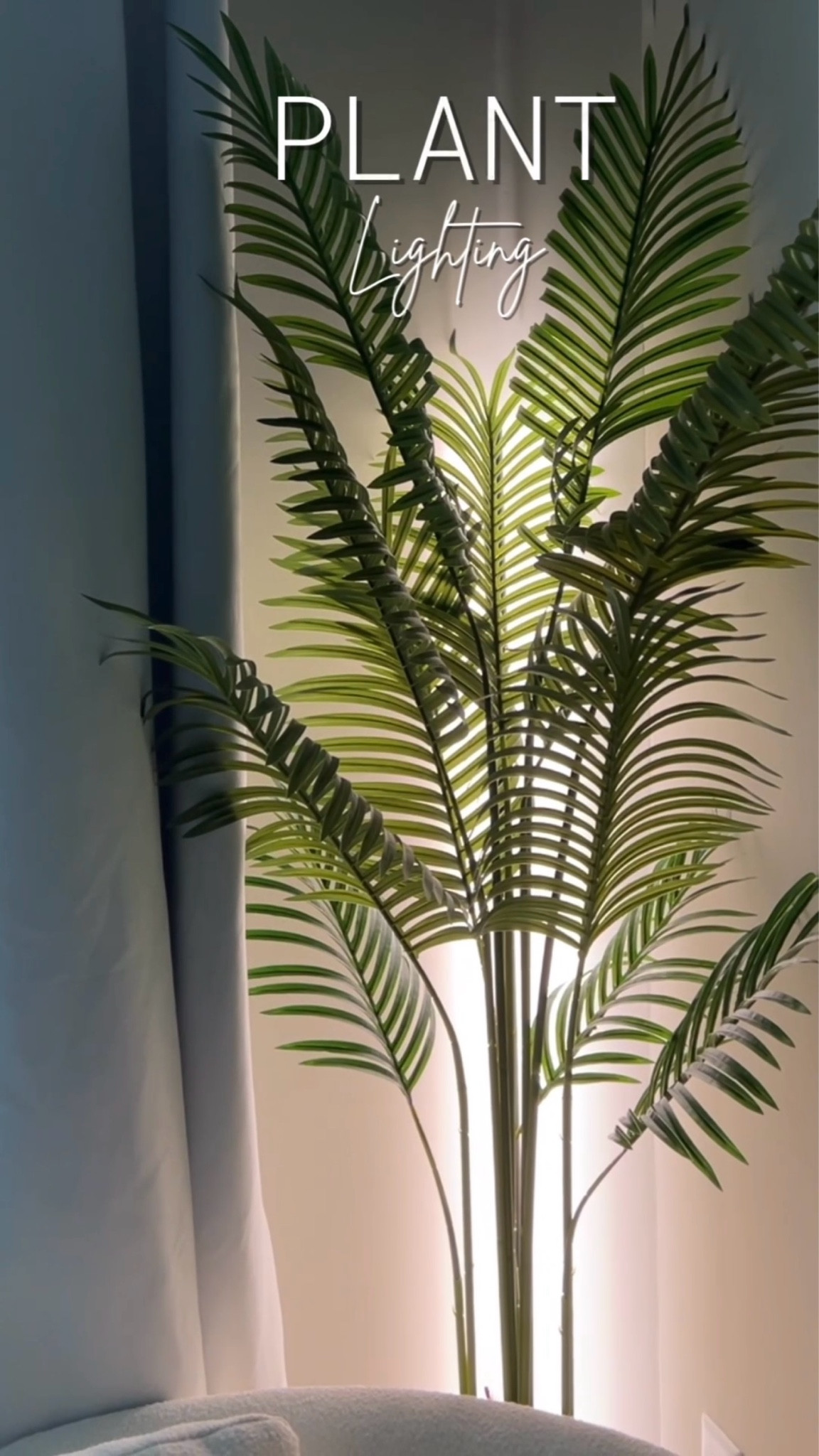 Easy way to add soft ambient lighting to your artificial plants. 


#LTKOver40 #LTKHome #LTKStyleTip