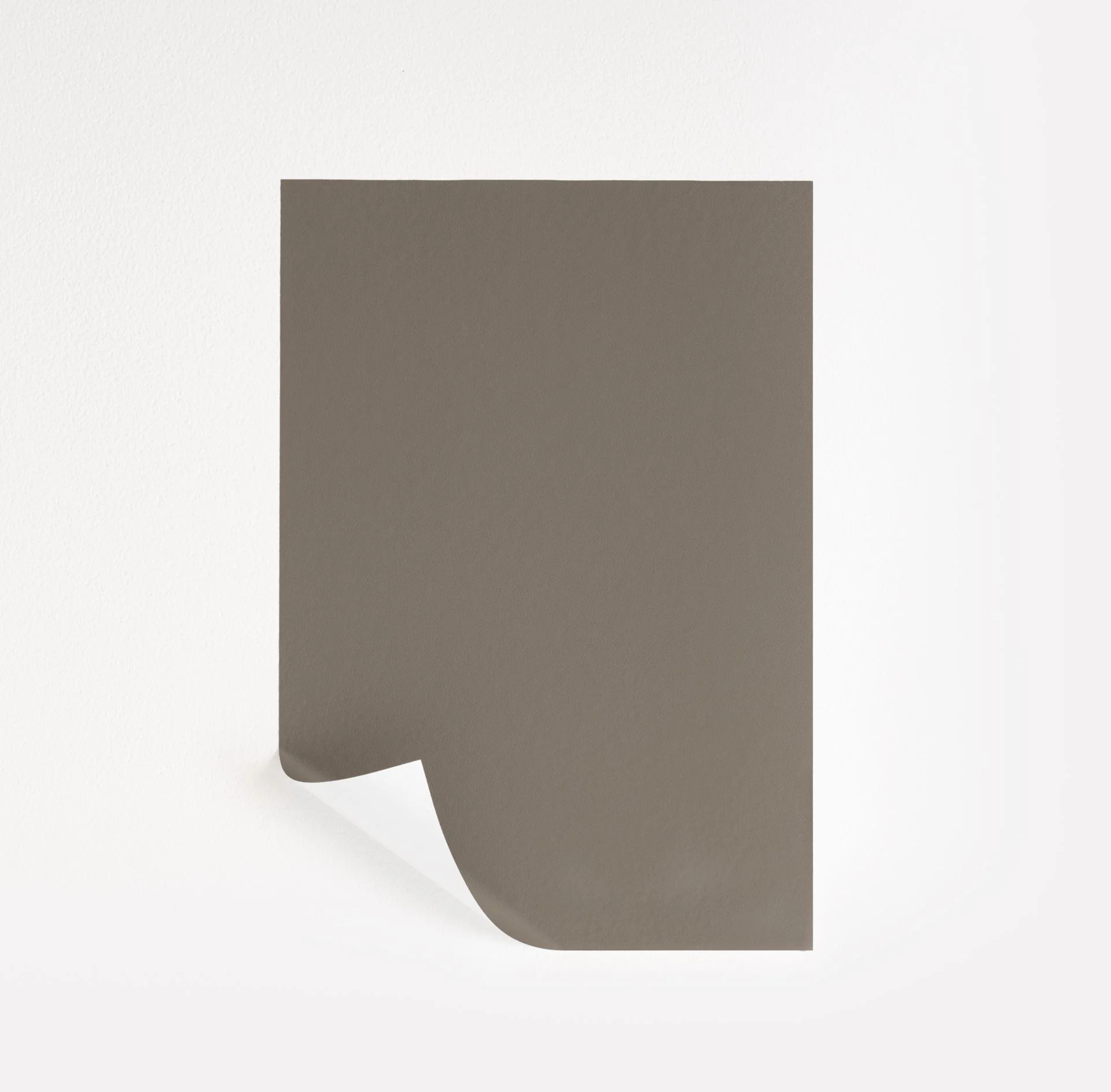 Backdrop  Paint Sample | Samplize
