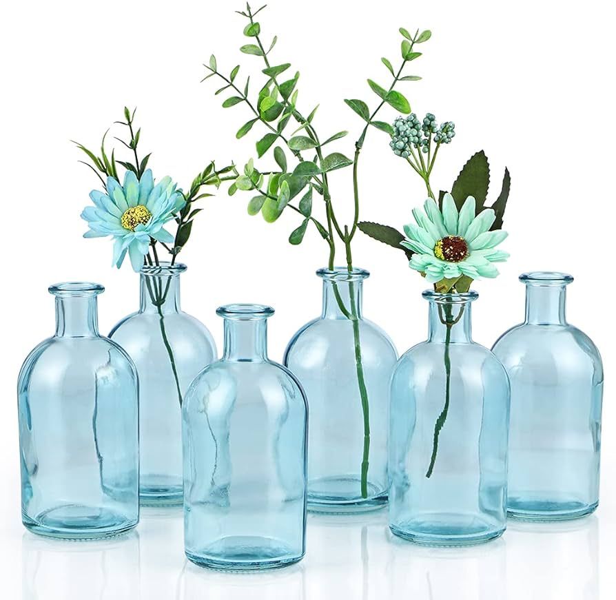 6-Pack Glass Bud Vase, Apothecary Bottle Vase, Decorative Glass Bottle for Wedding Centerpiece, H... | Amazon (US)