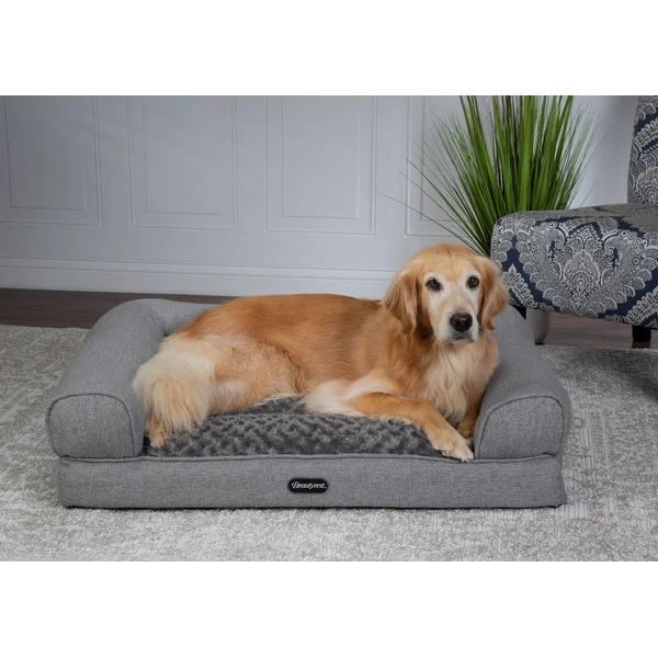 Beautyrest Lux Lounger Memory Foam Couch Bed | Wayfair North America