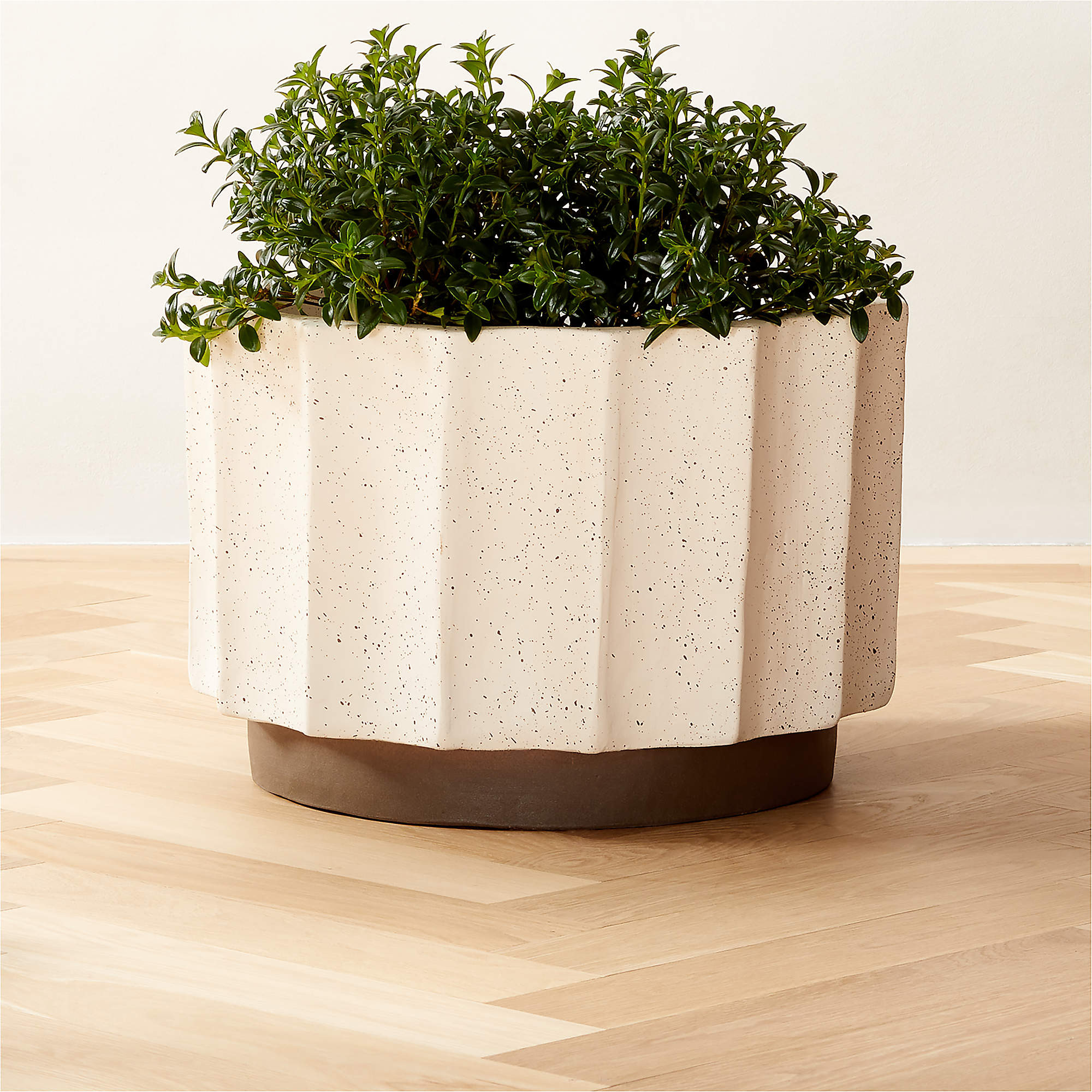 Scallop White Ceramic Indoor/Outdoor Large Planter 19" + Reviews | CB2 | CB2