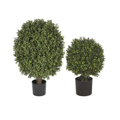 Single Ball Outdoor Boxwood Topiary | Frontgate | Frontgate