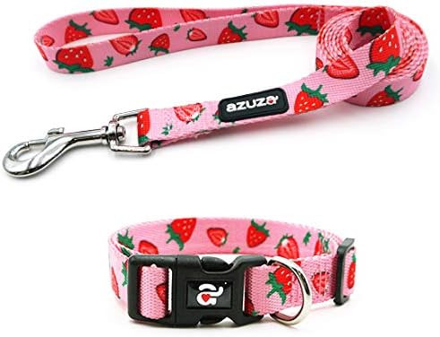 azuza Dog Collar and Leash Set, Cute Fruit Patterns on Bright Collar Nylon and Matching Leash, Gr... | Amazon (US)
