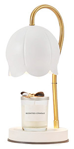 Tesrago Candle Warmer Lamp,Bulb&Candle Incl,Dimmable Electric Candle Wax Melter with Timer,Wax Wa... | Amazon (US)