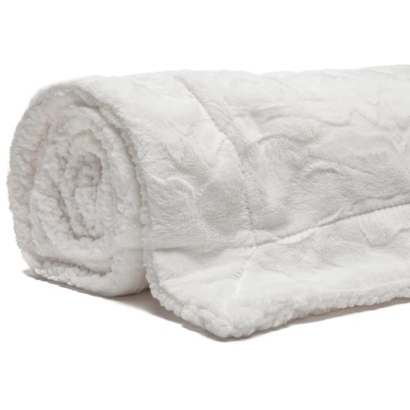 Dashamir Blanket | Wayfair North America