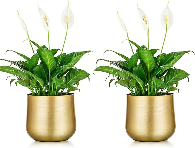 Nuptio 2 Pcs Plant Pot Gold Vase Metal Flower Pot Vase with Drainage Hole, Modern Storage Organiz... | Amazon (US)