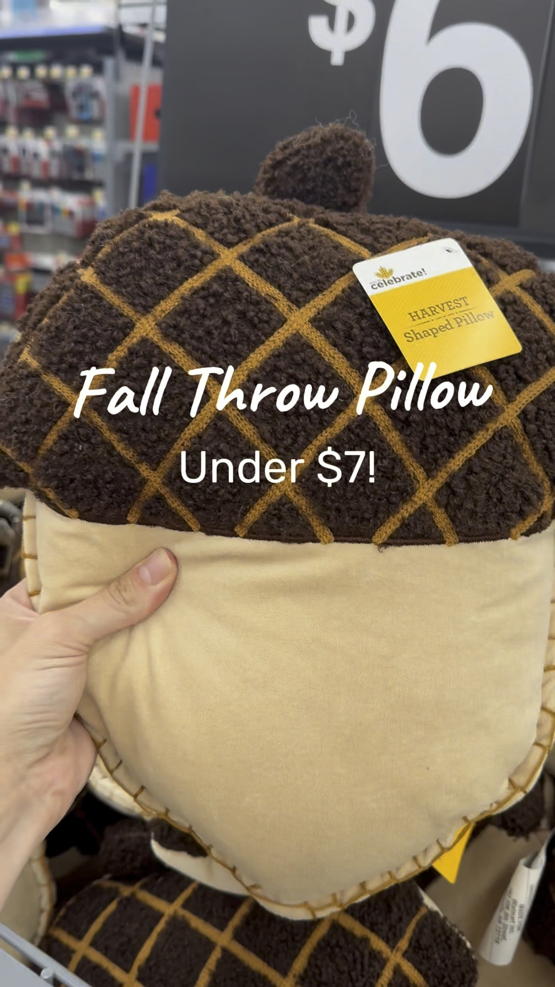 Who doesn’t love a seasonal throw pillow! 🐿️🎃

#walmart #walmartfind #walmartdeals #walmartdecor #seasonaldecor #falldecor #fallpillows #seasonalpillows  #fallhomedecor #fallhome

#LTKSeasonal #LTKHome #LTKVideo