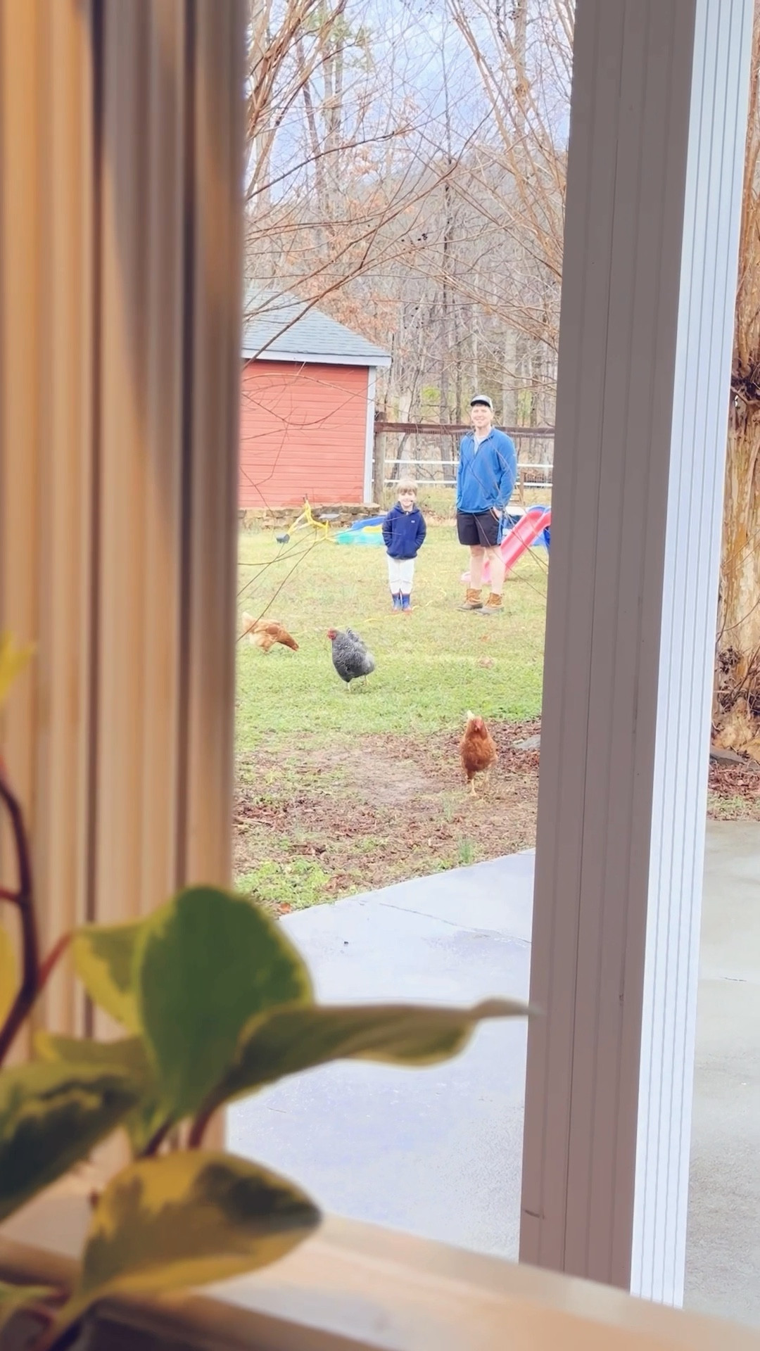 can’t get over that this is my morning view out my kitchen window 🥹🐓👶🏼🌳🪟

#LTKmorningroutine #LTKdayinmylife #LTKKids