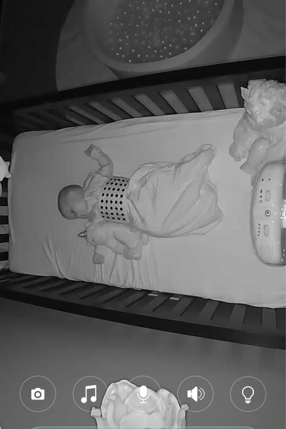 Gives me peace at night having the #NanitMonitor 

Tonight Wren decided she was going to be a BIG girl and sleep in her crib. She’s not crying, but I sure am 🥹

#LTKBump #LTKFamily #LTKBaby