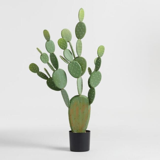 Faux Prickly Pear Cactus Plant | World Market