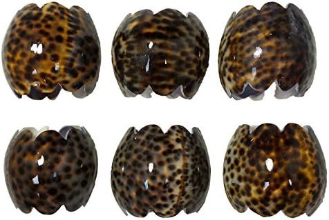 U.S. Shell Tiger Cowrie Napkin Ring, Large | Amazon (US)