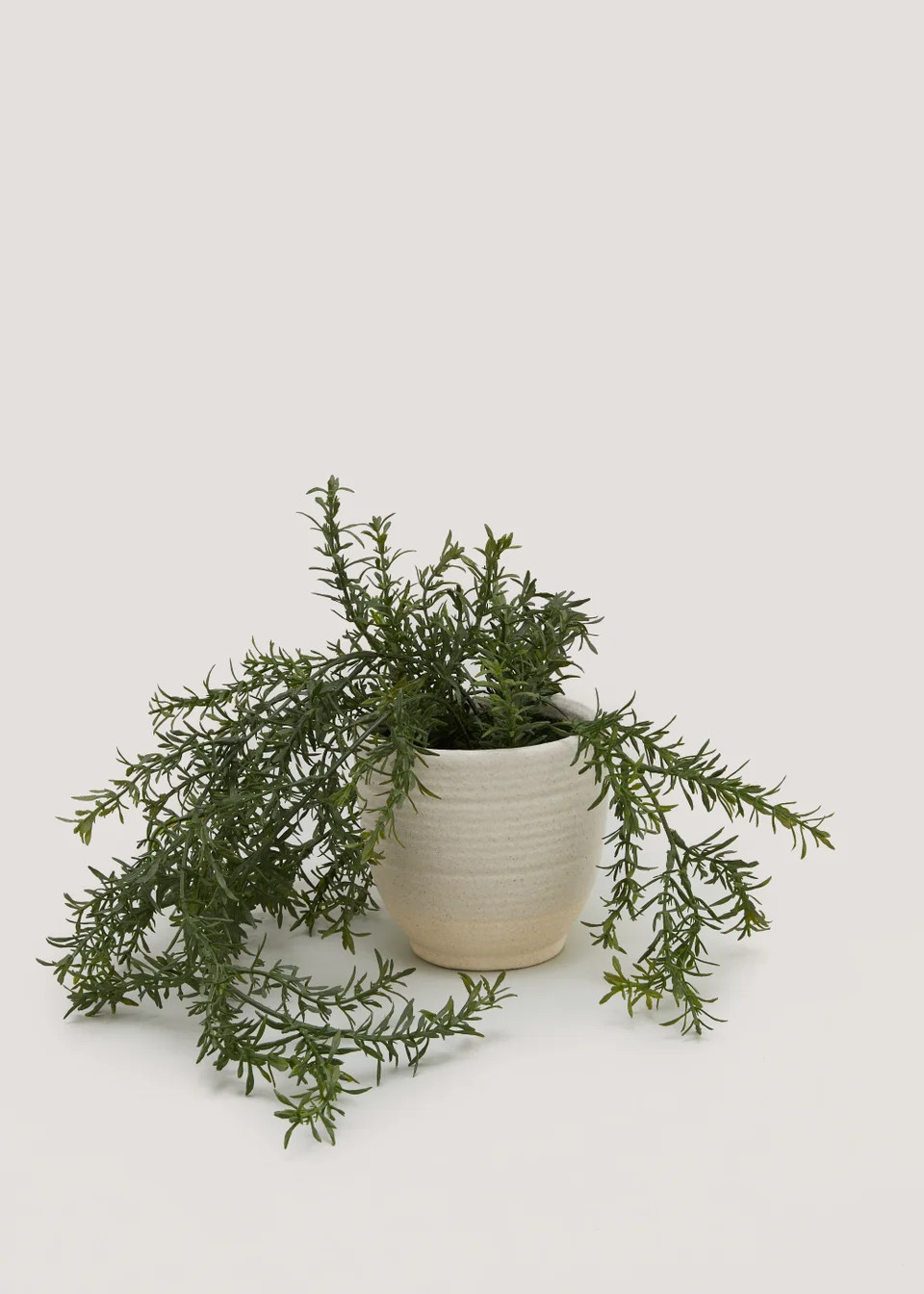 Trailing Herb in Ceramic Pot (9.5cm x 1cm) | Matalan (UK)