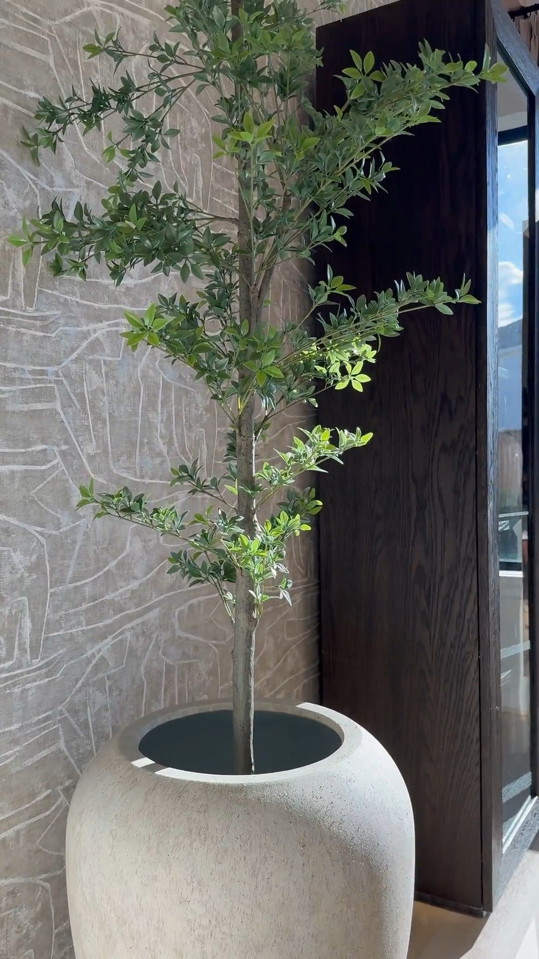 I am absolutely loving this planter from Pottery Barn! It's gorgeous, and the best part is that it's so versatile - it works perfectly for both bigger trees and smaller ones too! 🌳 I love it so much that I actually ended up buying another one, haha! 😆 It's definitely a game-changer for decorating any space. 

#LTKHome #LTKStyleTip #LTKSaleAlert