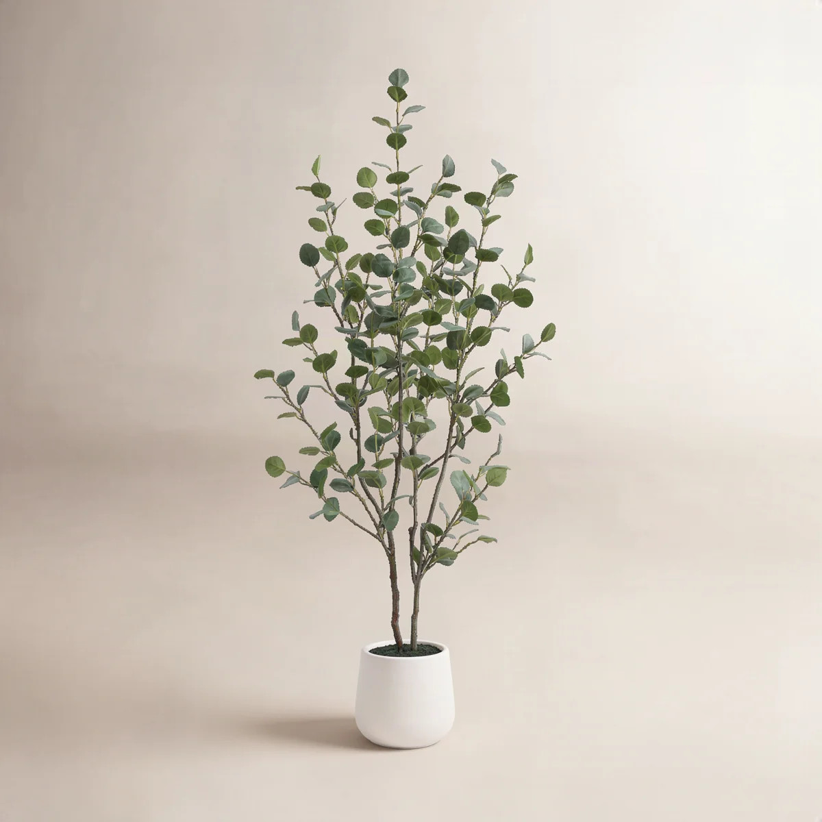 was | Wayfair North America