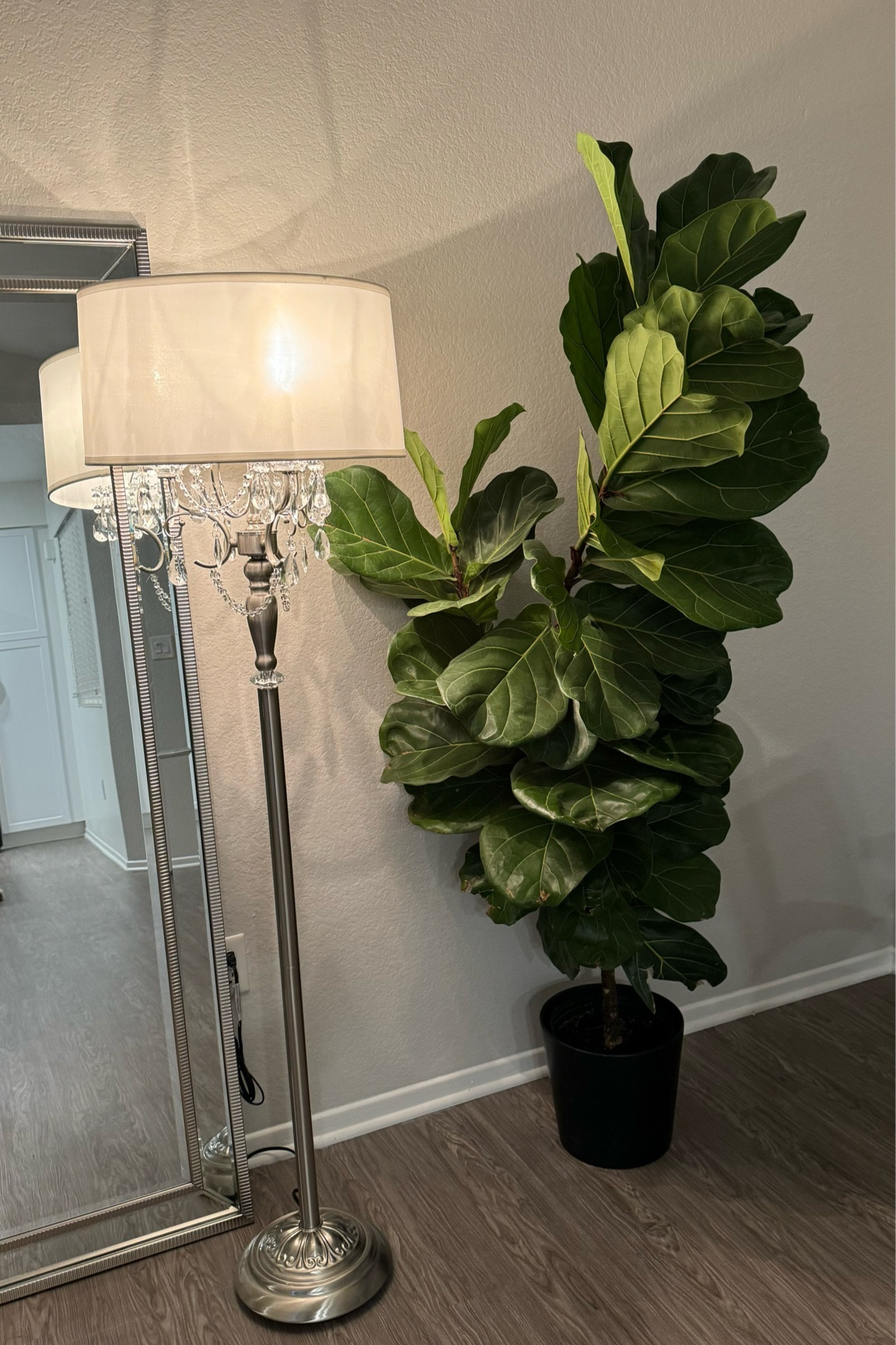 Crystal floor lamp
Amazon 
Home finds
Home decor

#LTKhome