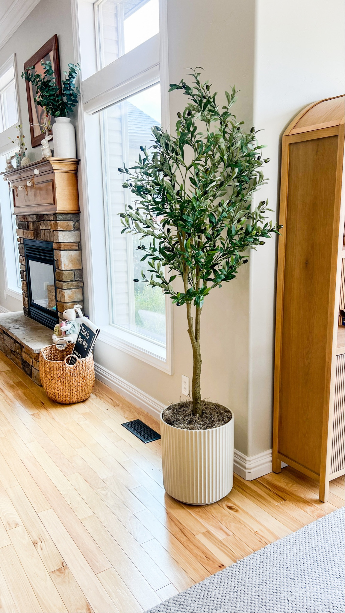 Our new faux spring olive tree. We named her Olive 🫒🥹

#LTKSeasonal #LTKhome