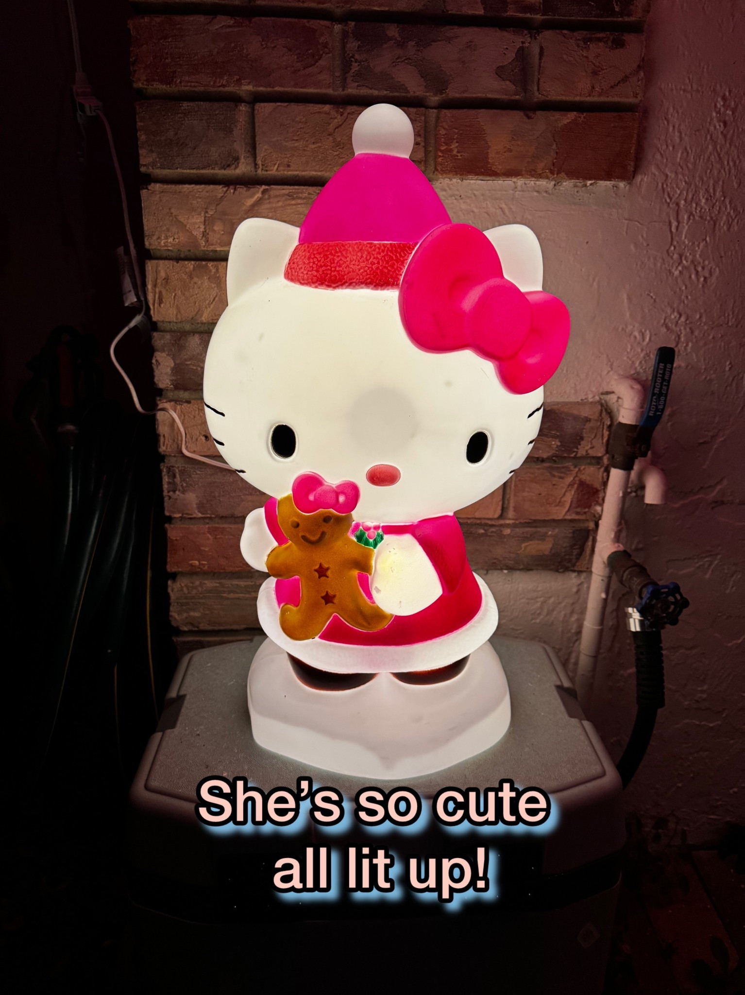 Walmart finds 

#LTKFindsUnder50 #LTKSaleAlert #LTKHoliday