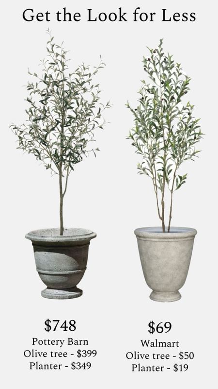 Get the look for less! I love this stone urn planter from Pottery Barn to use with either real or faux plants, and it’s so pretty paired with this olive tree! I found a similar Walmart option for you for under $70! The planter is under $20 and looks so beautiful (even though it’s plastic!!!).  ………….. home decor pottery barn dupe faux olive tree faux plants faux tree fake plants fake tree spring home decor spring home refresh pottery barn planter urn planter stone planter large planter oversized planter planter with drainage holes planter under $20 front porch decor urn planter stone planter artificial plants artificial tree faux olive trees porch planters outdoor planters 

#LTKfindsunder50 #LTKhome #LTKfindsunder100