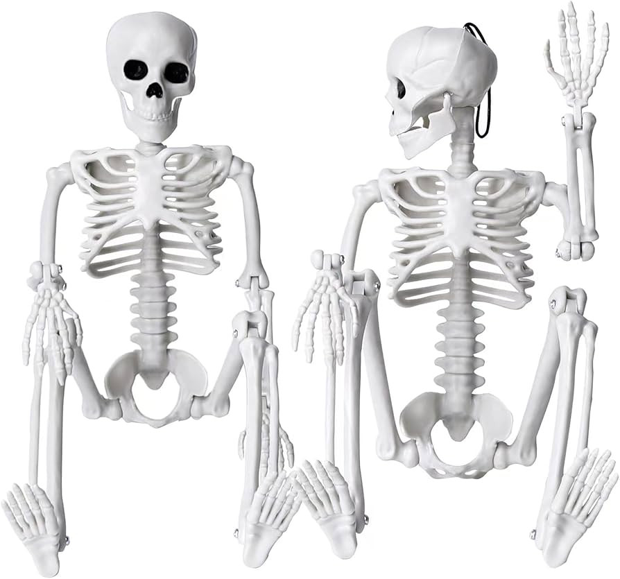 XIMISHOP 2pcs Skeleton Halloween Decoration, 16” Full Body Posable Halloween Hanging Plastic S... | Amazon (US)