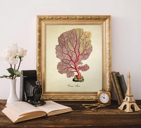 Antique Botanical Print, Coral Print, Vintage Home Decor Reproduction, Natural History Art, Color... | Etsy (US)