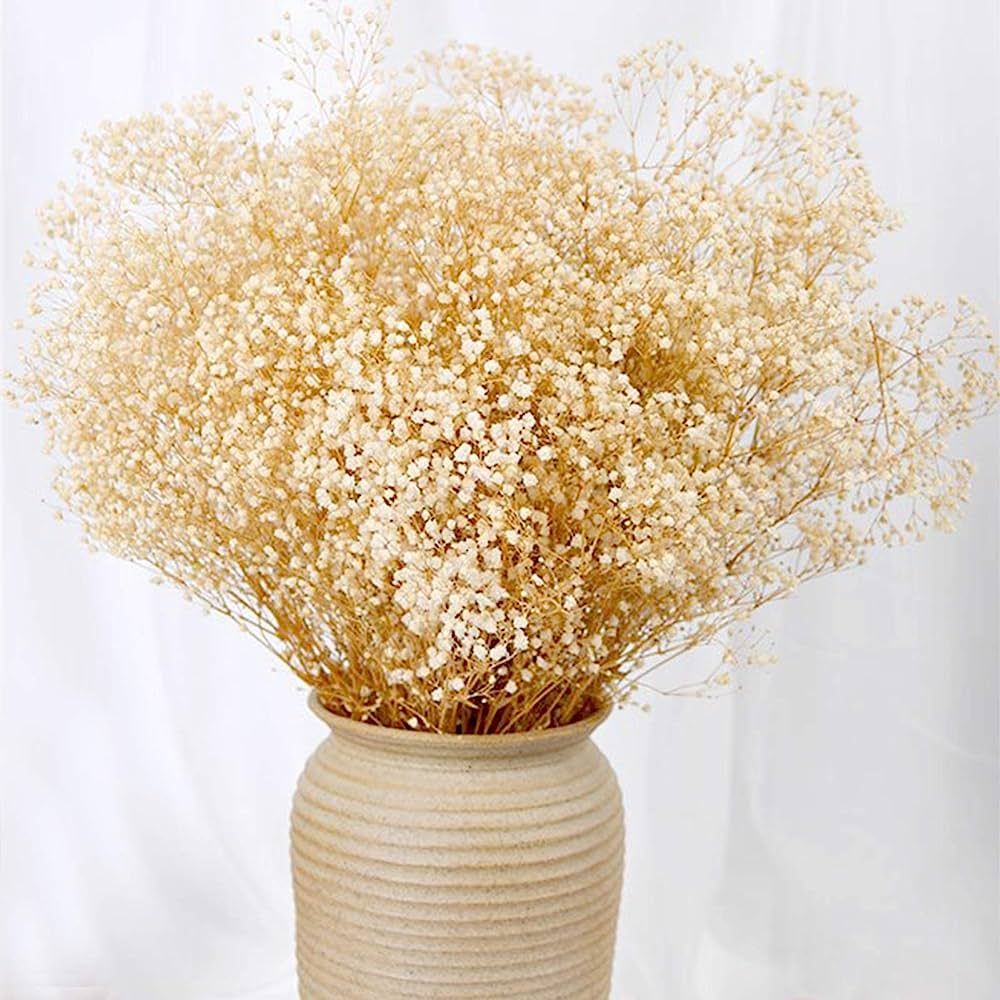 Dried Babys Breath Flowers Bouquet-17 Inch 2500+ Ivory White Dry Flowers, Natural Gypsophila Bran... | Amazon (US)