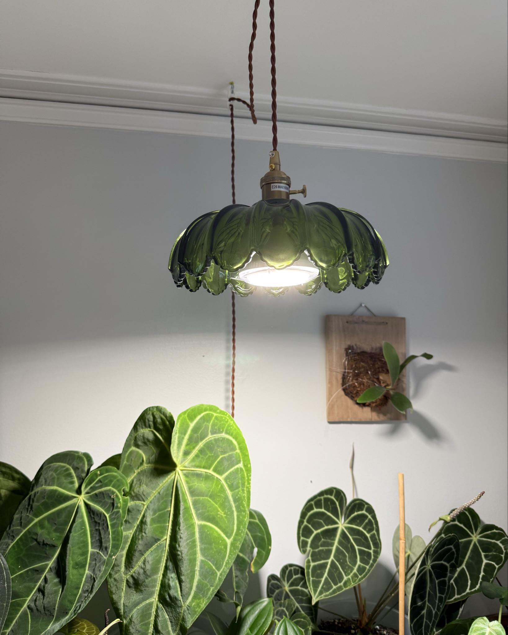 Glam up your houseplants with this gorgeous pendant light in your living room

#LTKHome #LTKSaleAlert