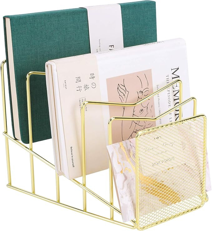 Z PLINRISE Incline File Sorter, Wire Magazine Holder Rack for Mails, Folders and Books, Desk Pape... | Amazon (US)