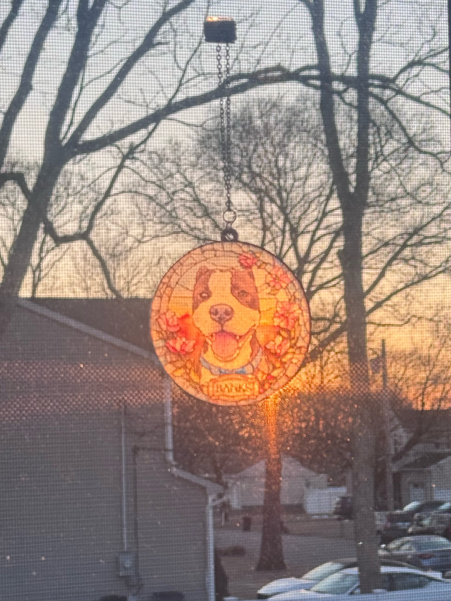 I Miss you my Sweet Bog Banks💔🐶🪽

#LTKFamily