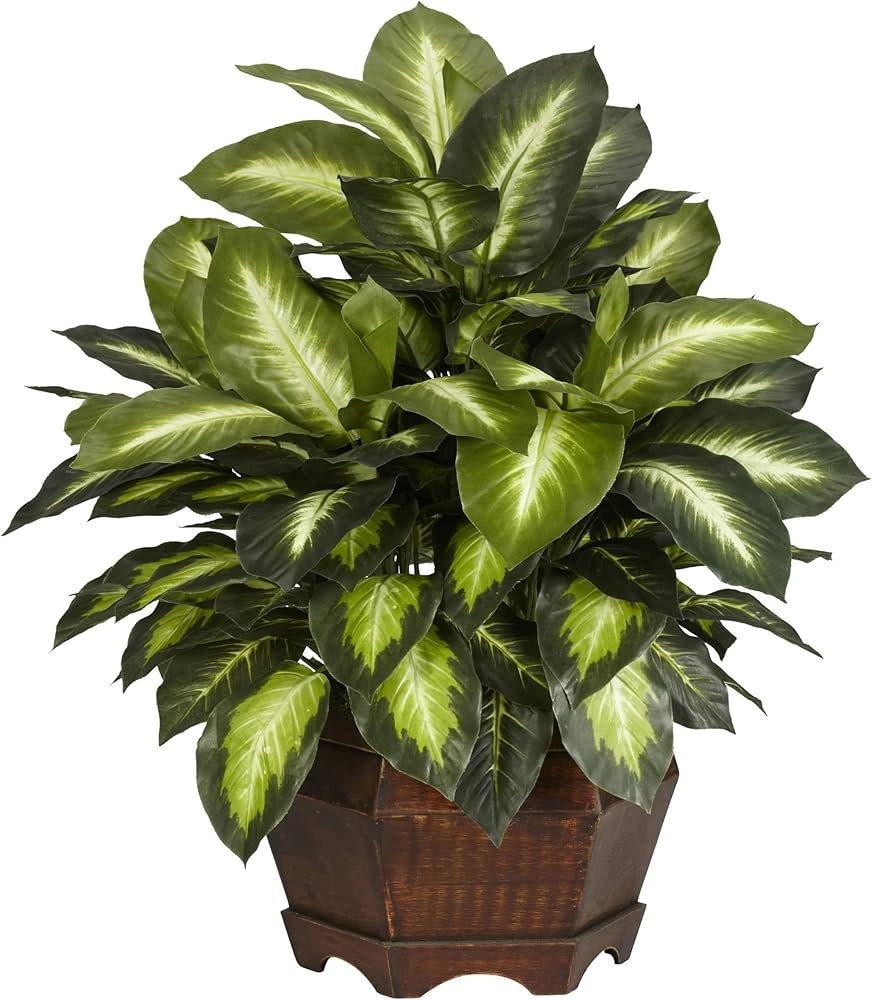 Nearly Natural 6639 24in. Golden Dieffenbachia Silk Plant, Green | Amazon (US)