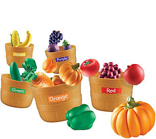 Farmer's Market Color Sorting Set by Learning R esources | QVC