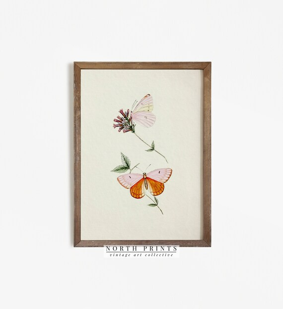 Vintage Butterfly Print  Antique Nature Drawing  Rustic | Etsy | Etsy (US)