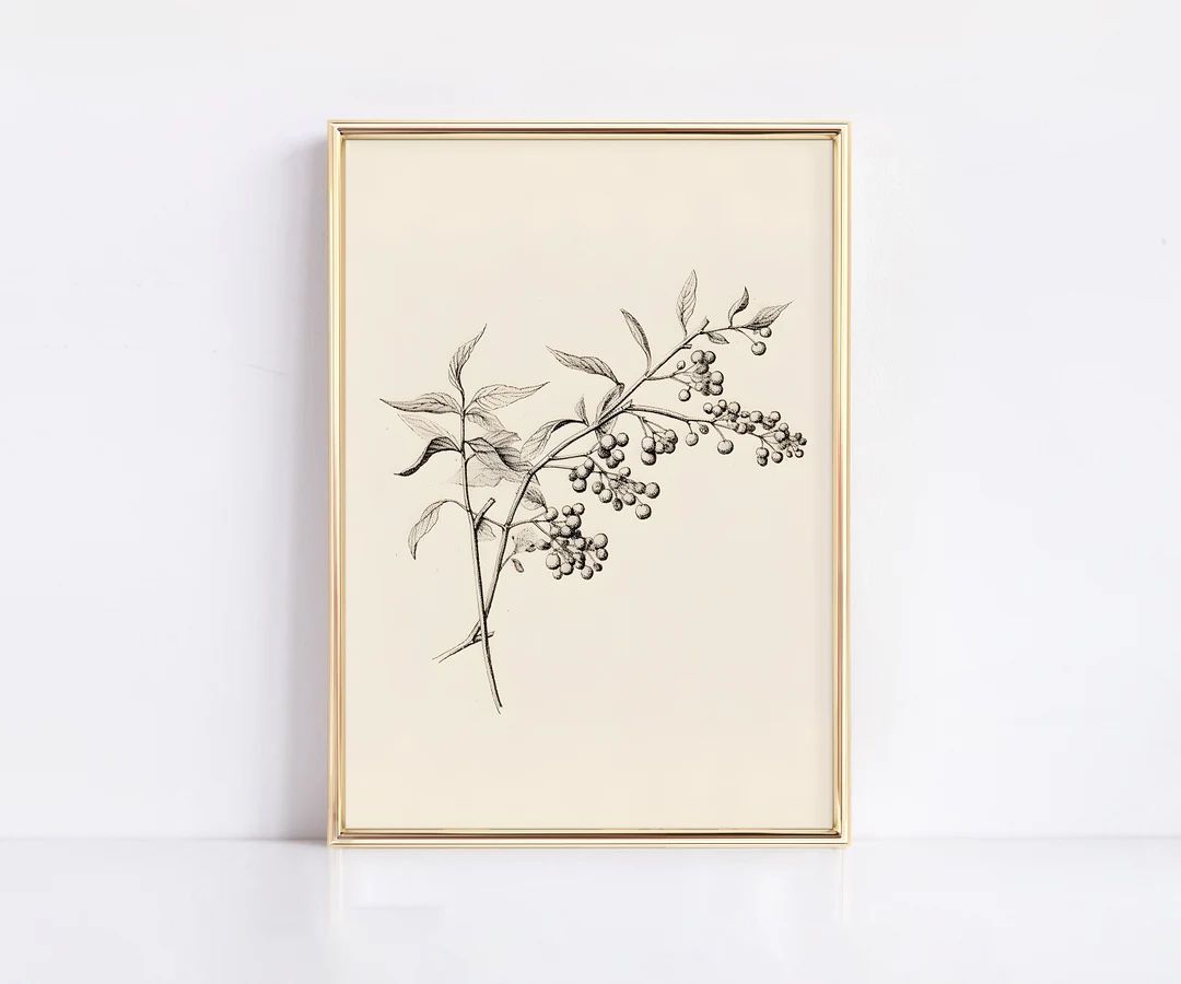 VINTAGE BOTANICAL DRAWING Winter Berries Sketch, Berries Drawing, Antique Botanical Printable, Co... | Etsy (CAD)