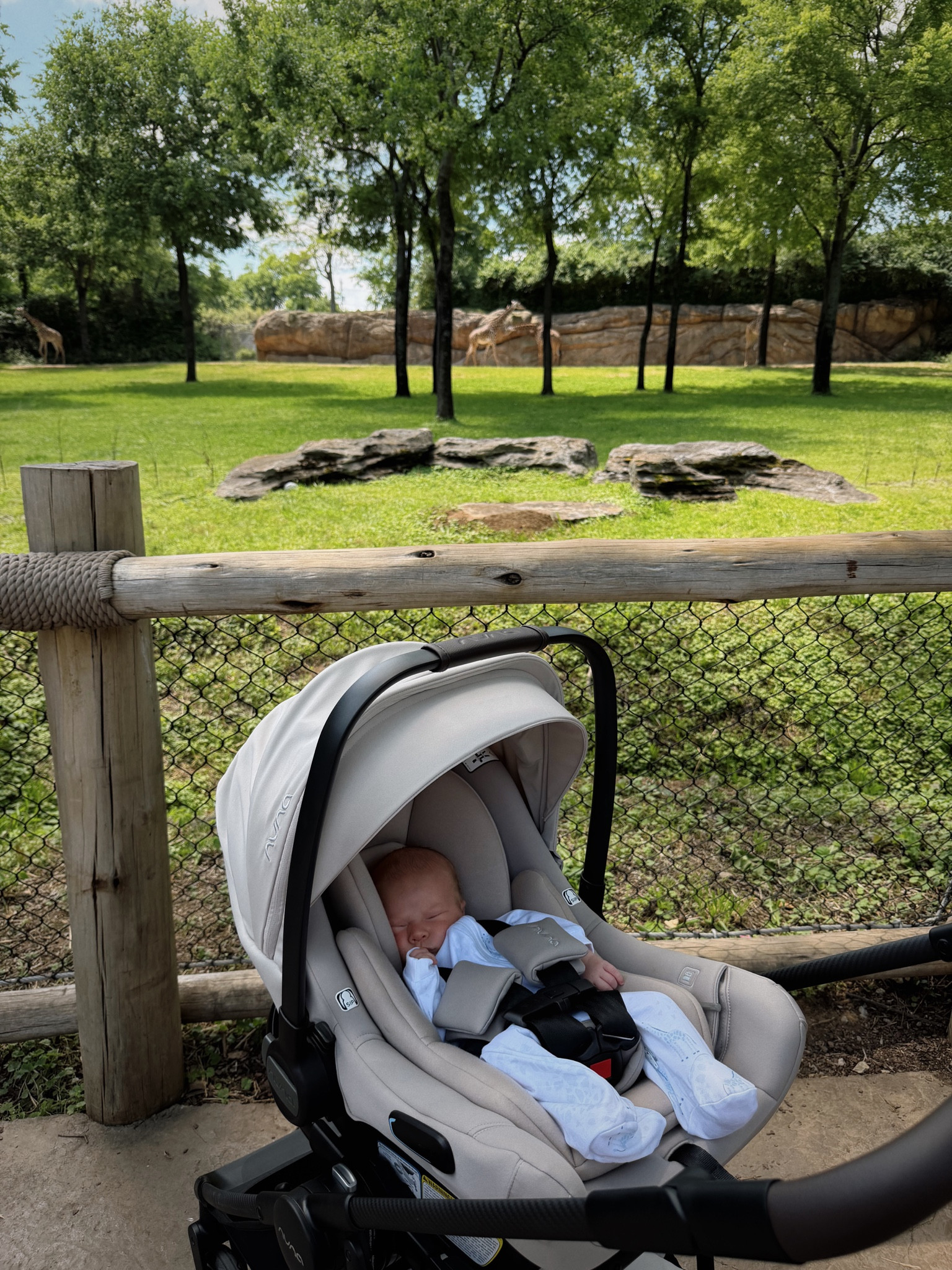 Nuna Pipa Aire (the carseat / stroller system in my car) 🫶🏽 

#LTKKids #LTKmomlife #LTKBaby